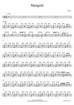 Marigold (Marigold) Aimyon (아이묭) Full Drum Transcription / Drum Sheet Music COPYDRUM