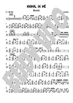 Animal in Me Solence Full Drum Transcription / Drum Sheet Music BUDY_VITO