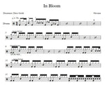 In Bloom Nirvana Full Drum Transcription / Drum Sheet Music Franki Bio