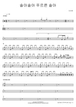 Sora, Sora, Green Pine (솔아솔아 푸르른 솔아) Chi Hwan Ahn (안치환) Full Drum Transcription / Drum Sheet Music COPYDRUM