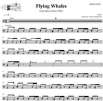 Flying Whales Gojira Simplified Drum Transcription / Drum Sheet Music DrumSetSheetMusic.com