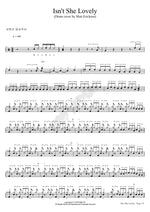 Isn`t She Lovely Matt Erickson Full Drum Transcription / Drum Sheet Music COPYDRUM