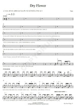 Dried Flower (ドライフラワ) Yuuri (優里) Full Drum Transcription / Drum Sheet Music COPYDRUM