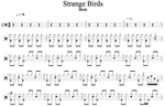 Strange Birds Birdy Full Drum Transcription / Drum Sheet Music Cyril Mayer