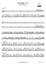 태양물고기 윤하 (YOUNHA) Full Drum Transcription / Drum Sheet Music COPYDRUM