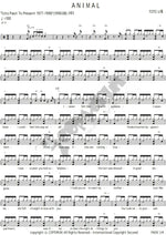 Animal Toto Full Drum Transcription / Drum Sheet Music COPYDRUM