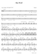 She Wolf Megadeth Full Drum Transcription / Drum Sheet Music COPYDRUM