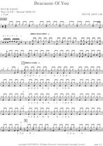 Because of You (because of you) Rise Up Korea (라이즈업코리아) Full Drum Transcription / Drum Sheet Music COPYDRUM