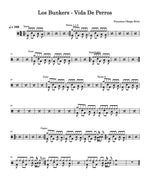 Vida De Perros Los Bunkers Full Drum Transcription / Drum Sheet Music Carlos Dias Aidos