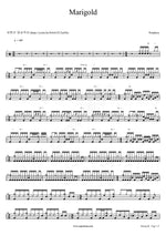 Marigold Playthrough Full Drum Transcription / Drum Sheet Music COPYDRUM