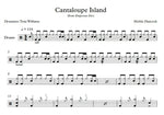 Cantaloupe Island Herbie Hancock Full Drum Transcription / Drum Sheet Music Franki Bio