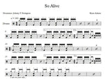 So Alive Ryan Adams Full Drum Transcription / Drum Sheet Music Franki Bio