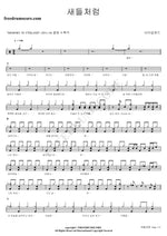 Like Birds (새들처럼) FTISLAND (에프티 아일랜드) Full Drum Transcription / Drum Sheet Music COPYDRUM