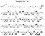 Bonnie the Cat Porcupine Tree Full Drum Transcription / Drum Sheet Music Cyril Mayer