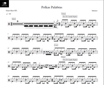 Polkas Palabras Molotov Full Drum Transcription / Drum Sheet Music Drum Sheet MX