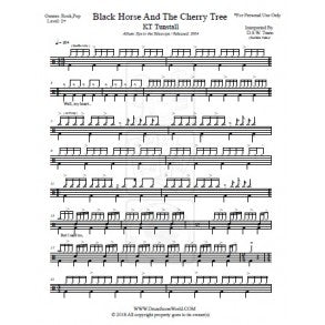 Black Horse and the Cherry Tree - KT Tunstall - Full Drum Transcription / Drum Sheet Music - DrumScoreWorld.com