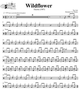 Wildflower - The Cult - Full Drum Transcription / Drum Sheet Music - DrumSetSheetMusic.com