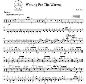 Waiting for the Worms - Pink Floyd - Full Drum Transcription / Drum Sheet Music - Percunerds Transcriptions